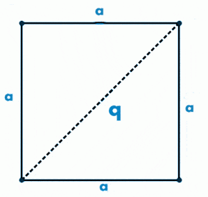 Περίμετρος τετραγώνου (P) γνωρίζοντας την διαγώνιο (q) του τετραγώνου